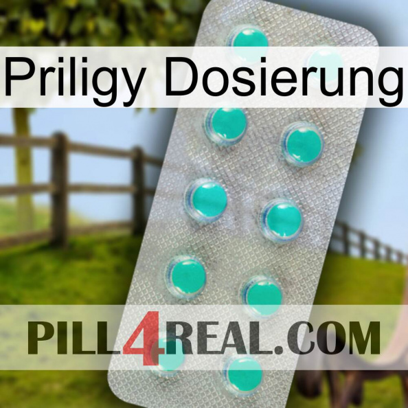 Priligy Dosage 28